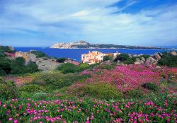 Sardinien - an der Costa Smeralda