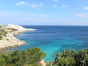 Sardinine © G.C. auf Pixabay