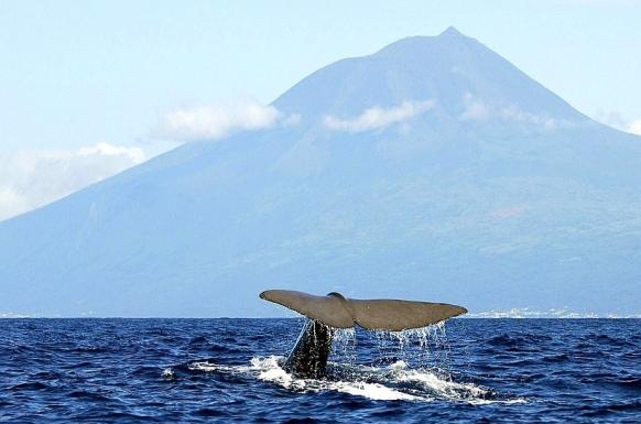 Flugreise Azoren - Insel Sao Miguel - Flugreise ab Hannover DE